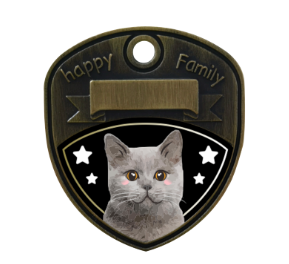 Chartreux/Blue British Shorthair