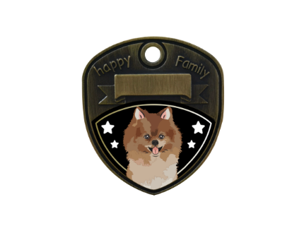 Spitz / Pomeranian
