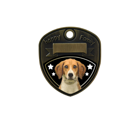 Beagle