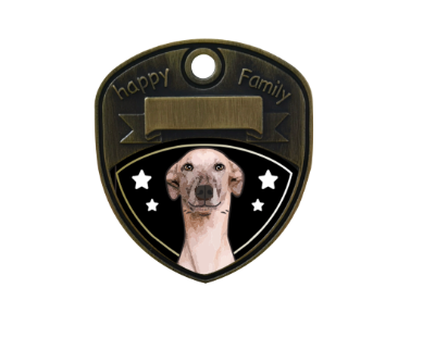 Whippet