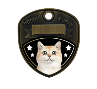 British Shorthair Gold