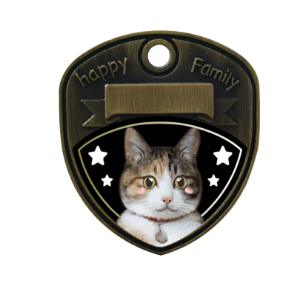Calico Cat