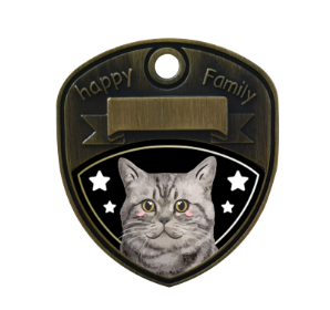 American Shorthair