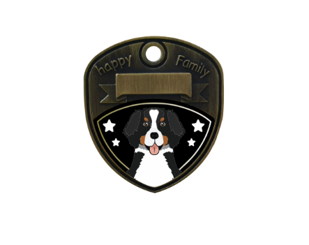 Bernese Mountain / Bernedoodle