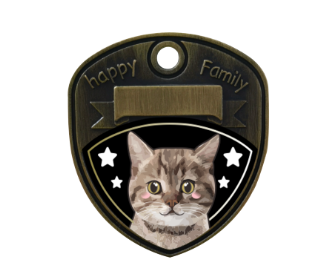 Tabby Cat