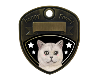 British Shorthair Silver